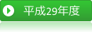 平成29年度活動の概要