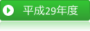 　平成２９年度活動の概要　