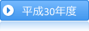 平成30年度活動の概要