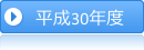 　平成３０年度活動の概要　